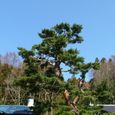 20070406_335